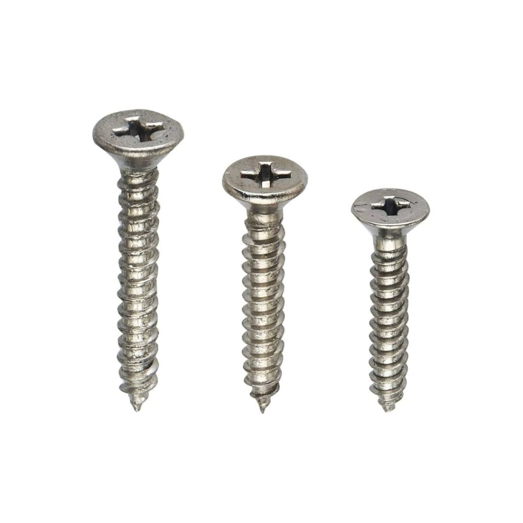 SS Screws